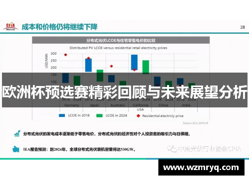 欧洲杯预选赛精彩回顾与未来展望分析